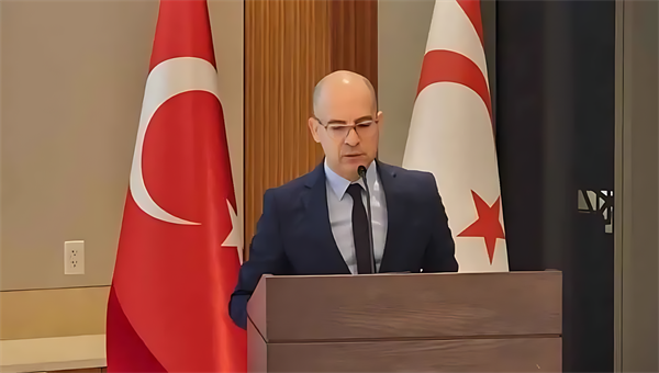 "Cumhurbaşkanımız görüş ve beklentilerini BM Genel Sekreteri ile paylaşacak"